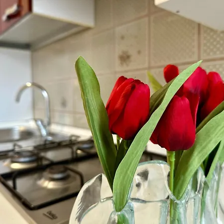 Tatil Evi Appia House Roma